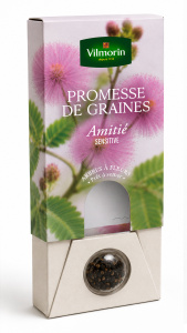Sensitive - Amitié